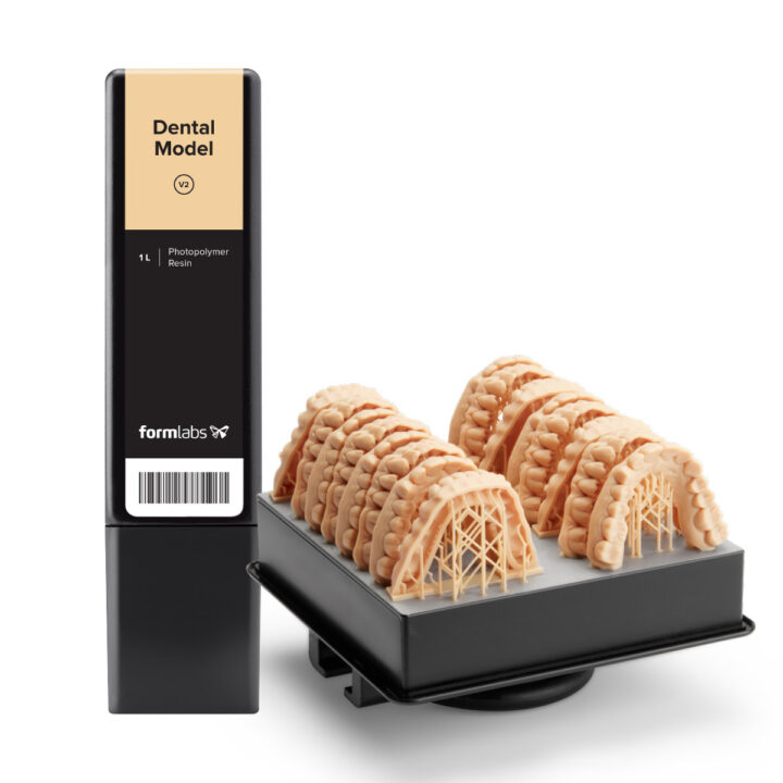 Dental Model