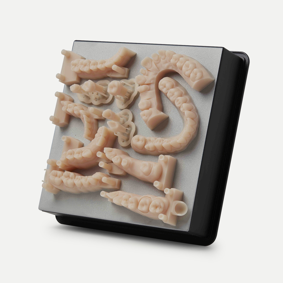 Dental Model - Зображення 2